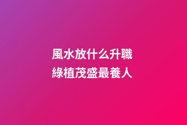 風水放什么升職 綠植茂盛最養人